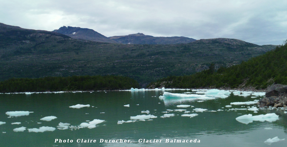 Morceaux de glace flottant au bas d'un glacier